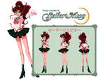 Sailor Jupiter Character Sheet