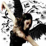 The Love of Dance