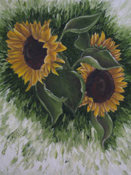 Sunflowers