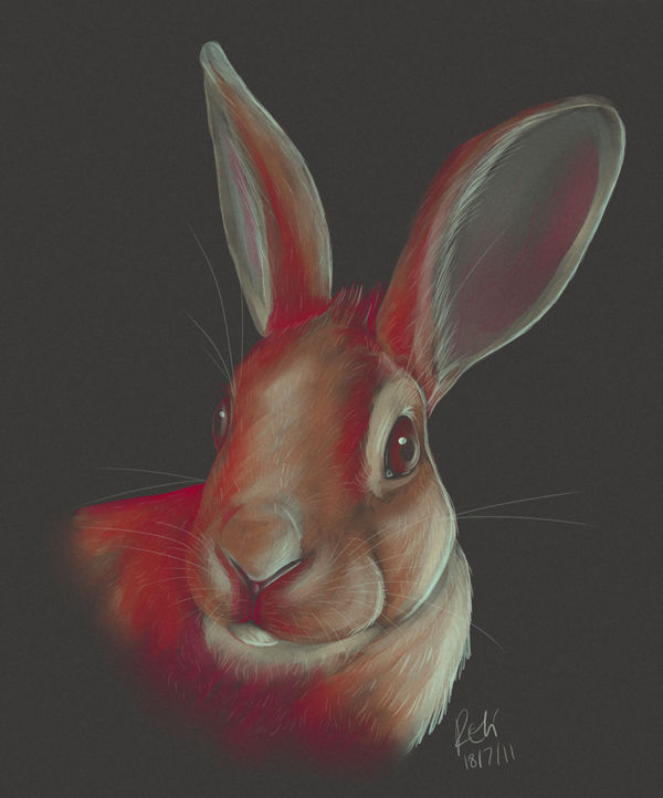 Colour Study of a Bunnieh