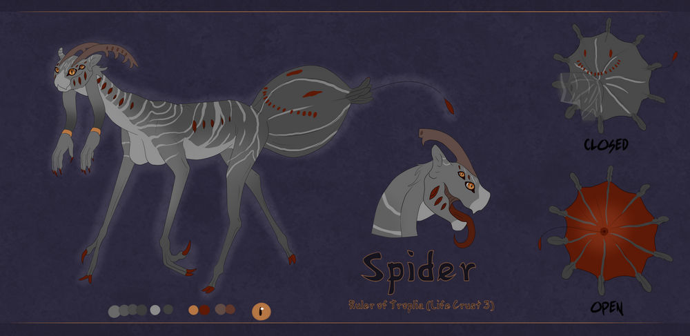 Spider Ref Spider Reference Sheet -old- by TheVerdantHare on DeviantArt