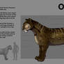 Oycteao Breed Sheet