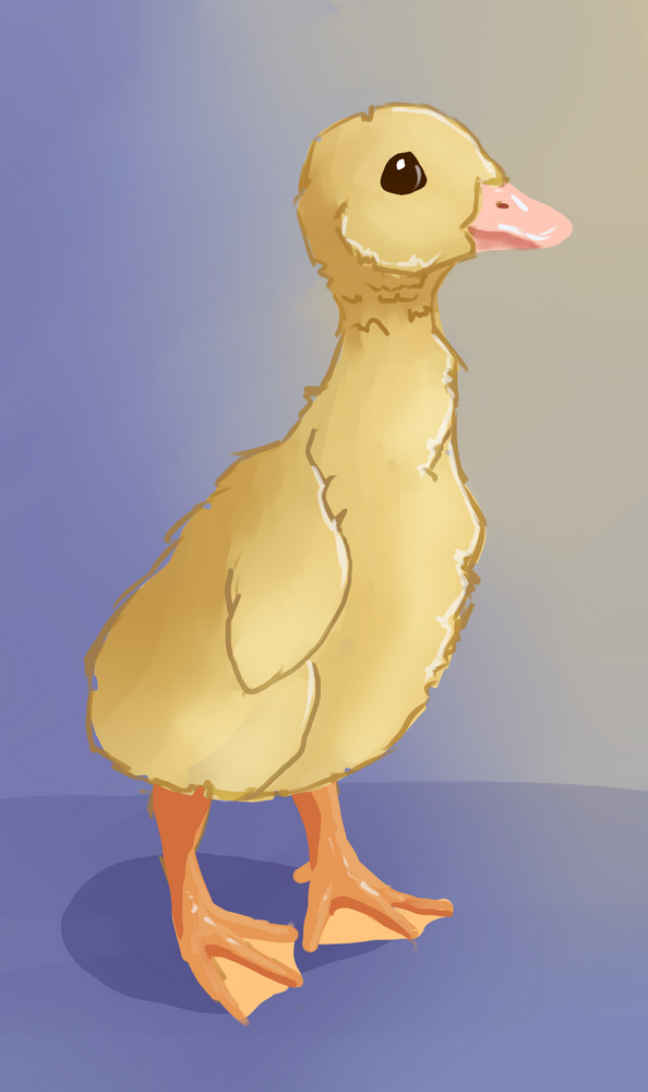 Doodle Duckling