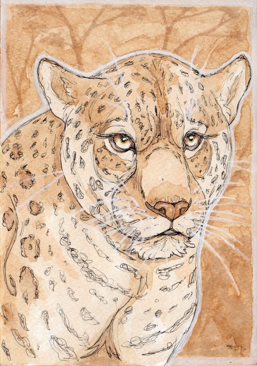 Traditional Media: Jaguar Tea Study