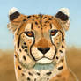 A Speedy Cheetah Paint