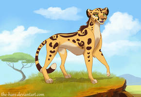 Fuli Redesign