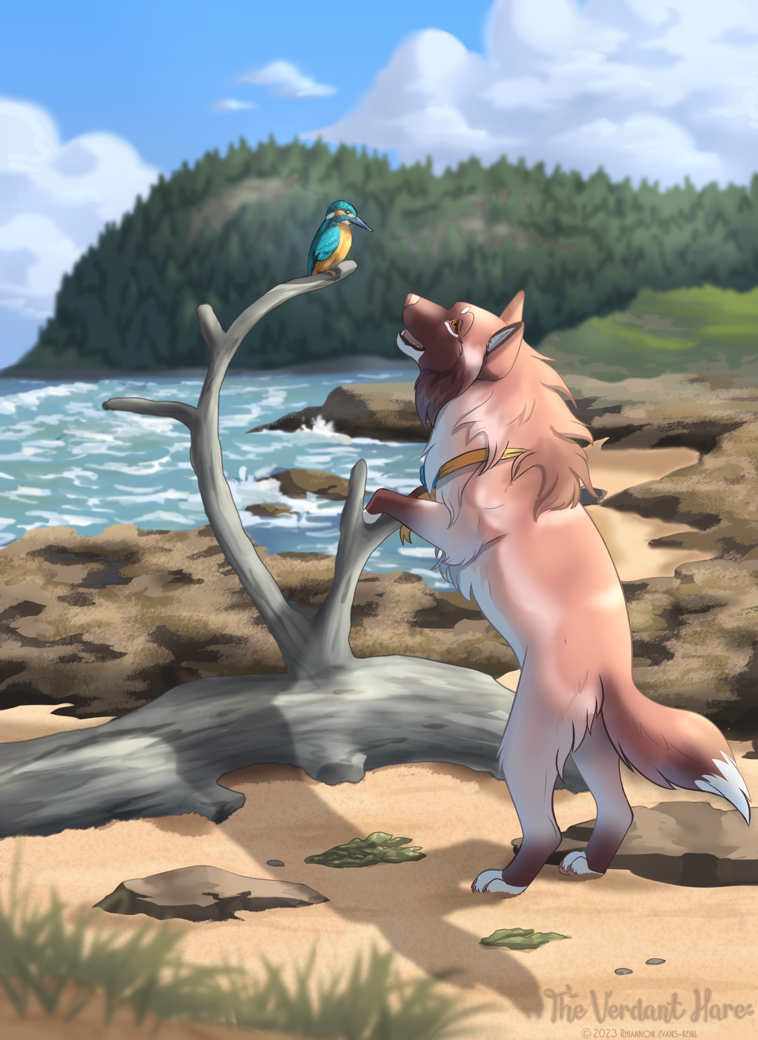 Tokotas ARPG: Beach Buddies