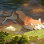 Tokotas | Legacy: The West River