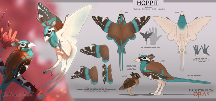 TSOT: Hoppit Species Design Sheet