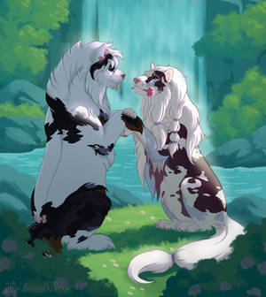 Tokotas: Lover's Falls