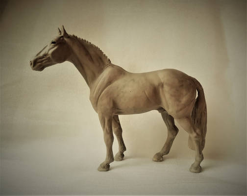 Malopolski stallion