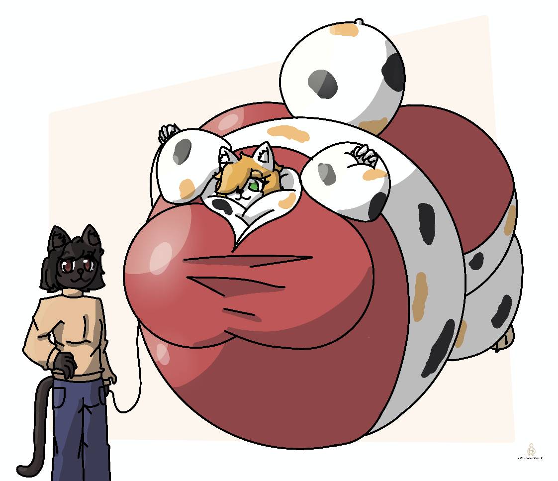 Top Cat Inflation Cutie gentle inflated cat by MarkowsDane on DeviantArt
