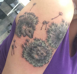 Hedgehog seeds (tattoo)