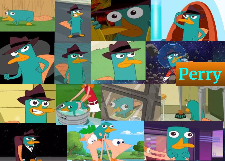 Perry The Platypus (AKA Agent P.) by PharoahAtem1 on DeviantArt