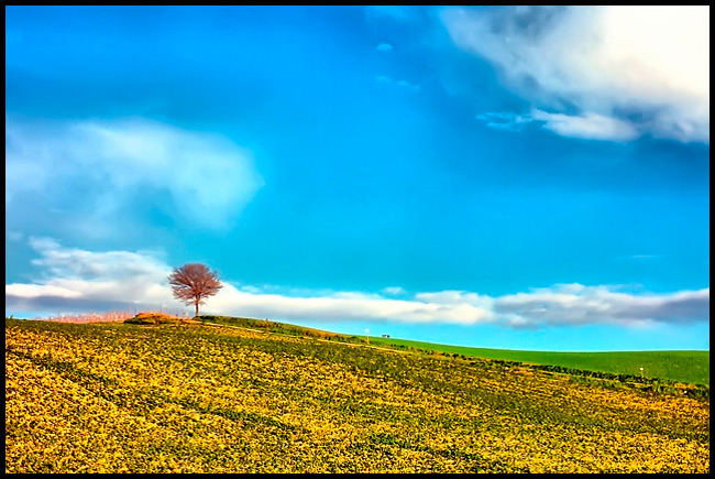 Tuscany Landscape n.21