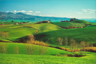 Tuscany Landscape n.3a