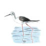 Common stilt