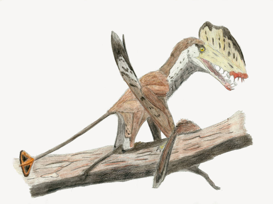 Harpactognathus gentryii by DiegoOA on DeviantArt