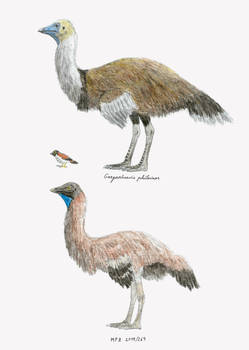 Spanish Cretaceous Bird Guide, Part 2