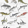 Sunday Fish Sketches 02