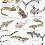 Sunday Fish Sketches 03