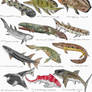 Sunday Fish Sketches 08