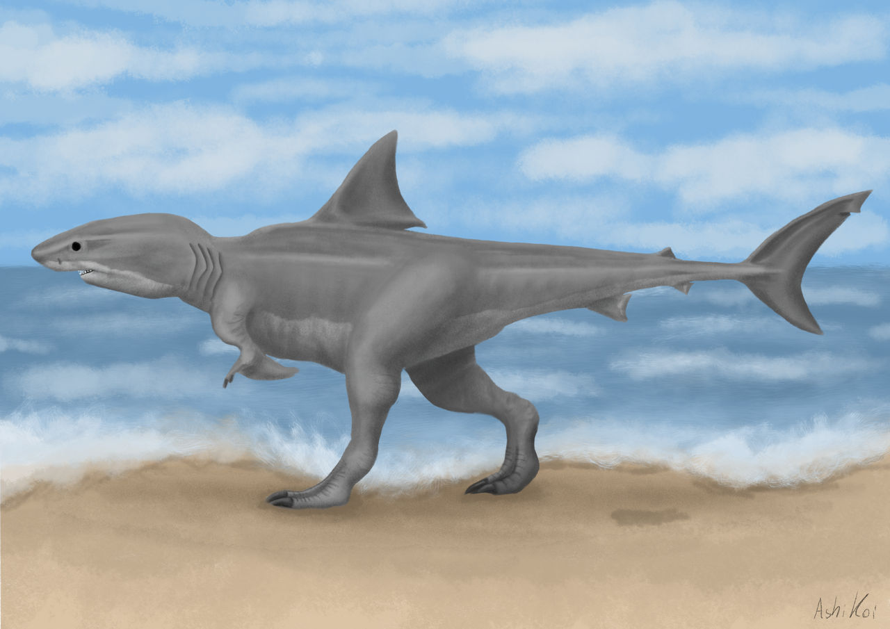 Shark - dinosaur hybrid by AshiKoi on DeviantArt