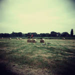 Play... by slatkatajna