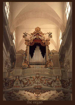 The organ