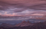 Undulatus aspertus by Arafinwearcamenel