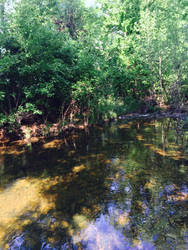 The Creek