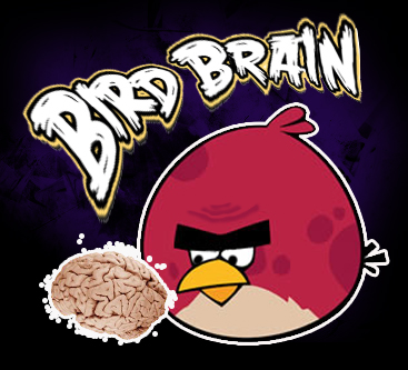 BIRD BRAIN