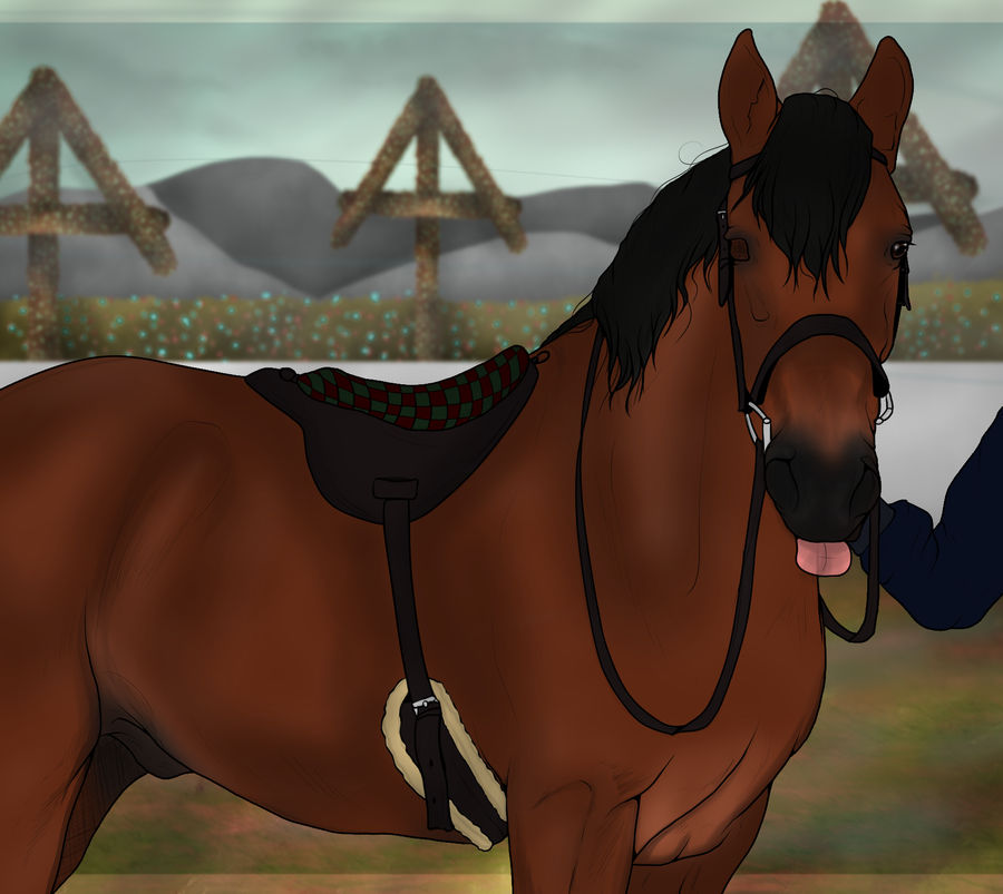 Hack Hourses Only :Hacking is a trust only rider and horse can see: by McClouding on ...