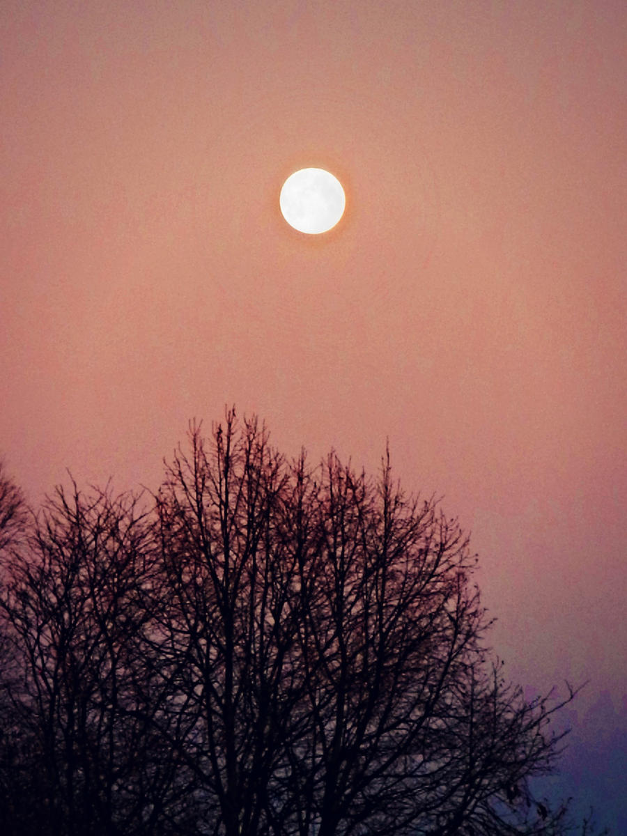 Moon (pink sky)