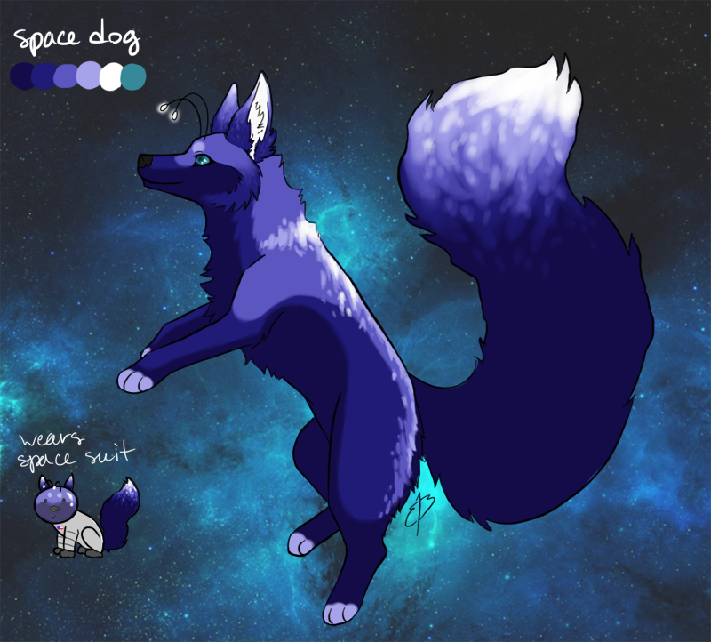 space doge: $5