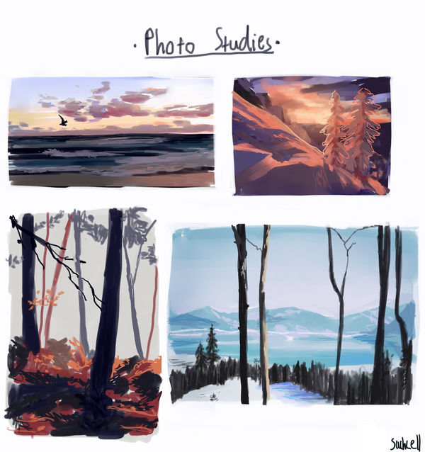 photo studies