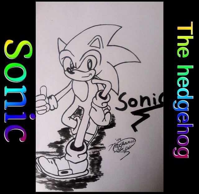 Sonic the hedgehog