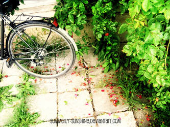 Bike between blossom