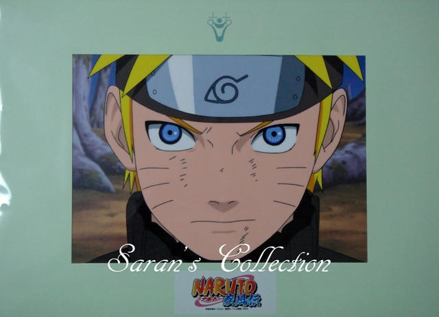Naruto Shippuden Ep 307 Vostfr