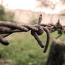 barbed wire