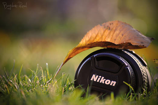 Nikon Autumn