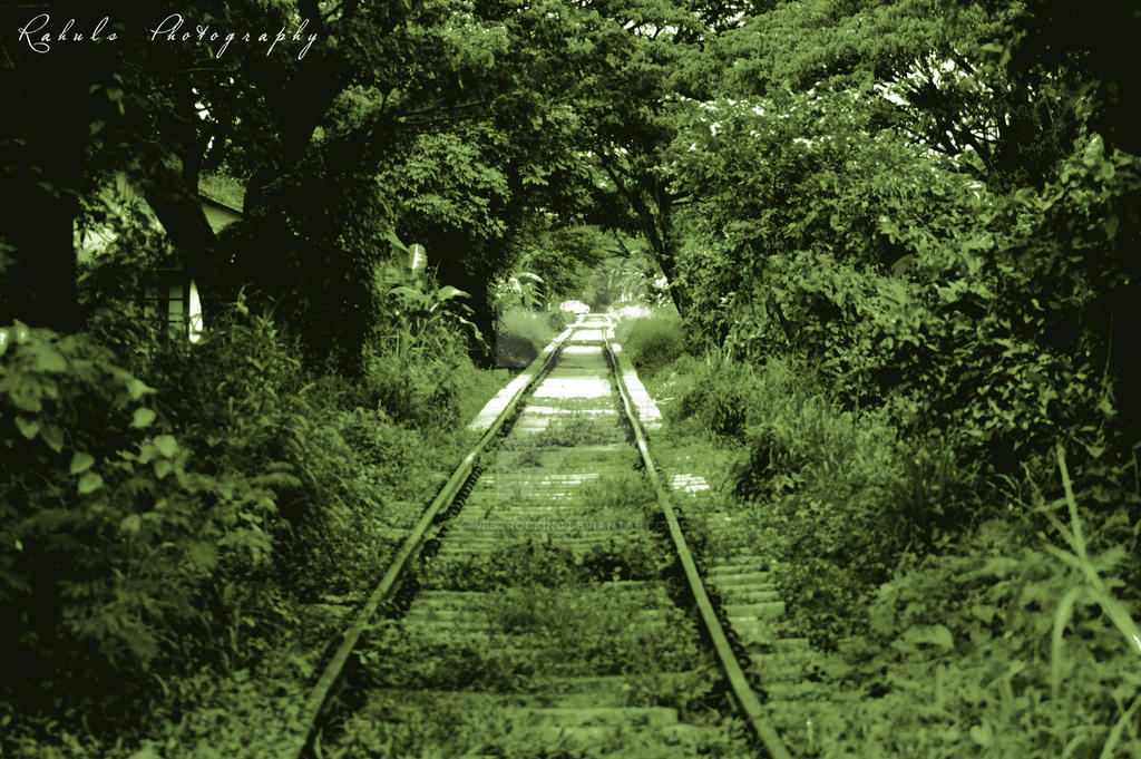 Endless Track An endless track !!! by westrocking on DeviantArt