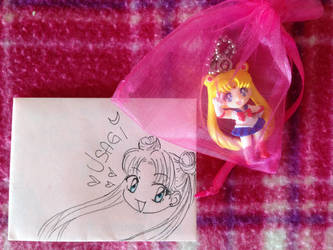 Usagi's present