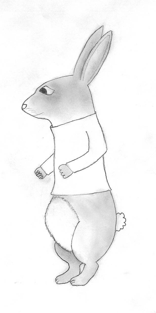 Mr. Rabbit by MrCams on DeviantArt