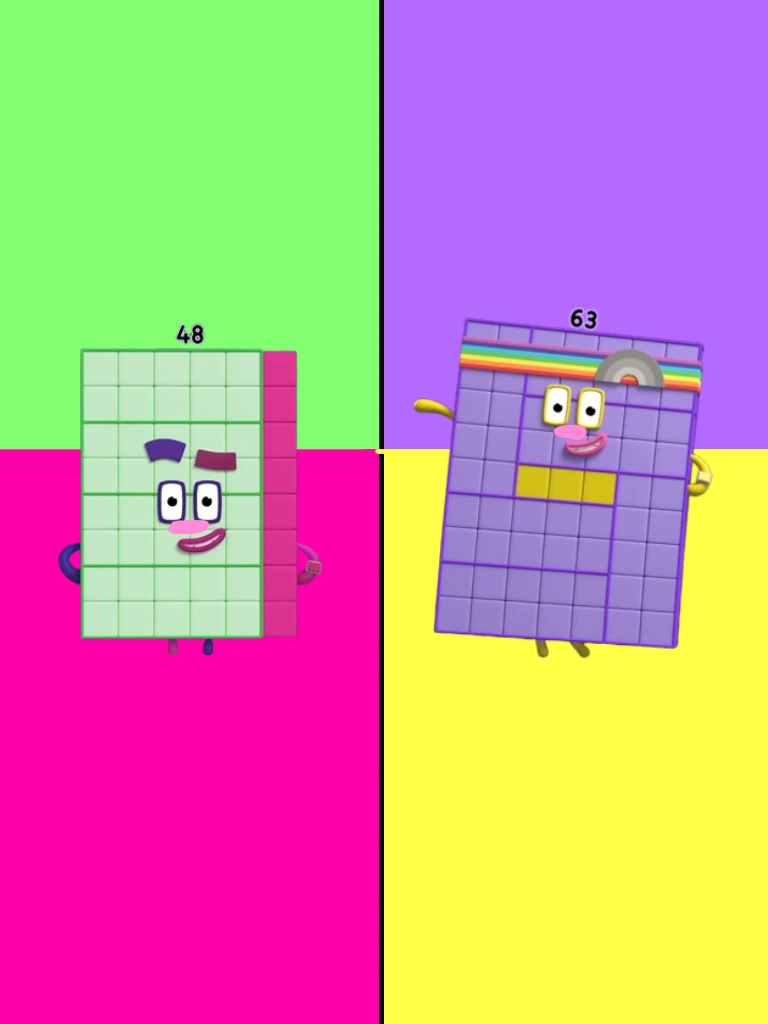 48 x 63