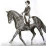 Dressage Horse