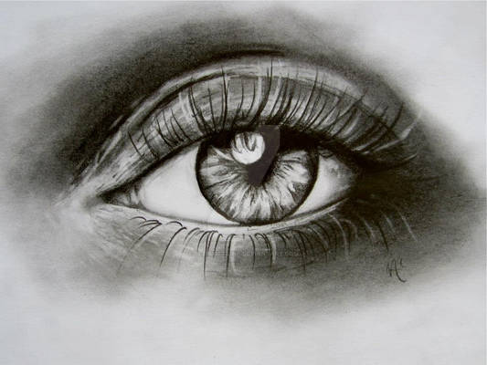 Study: Eye