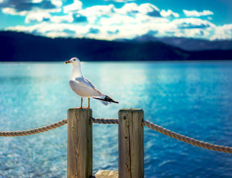 On the boardwalk