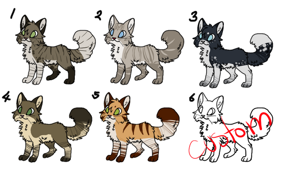 Emergency Cat Adopt Set! :Open: