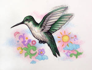 Humming Bird